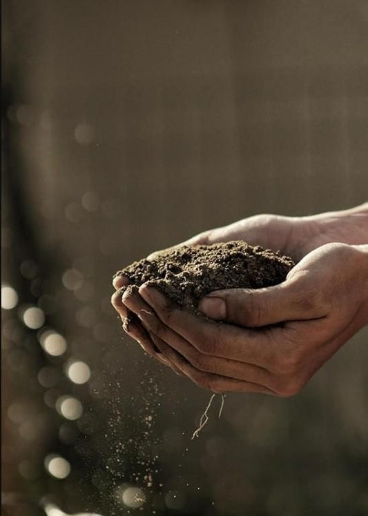 Organic Vermicompost (500gm)